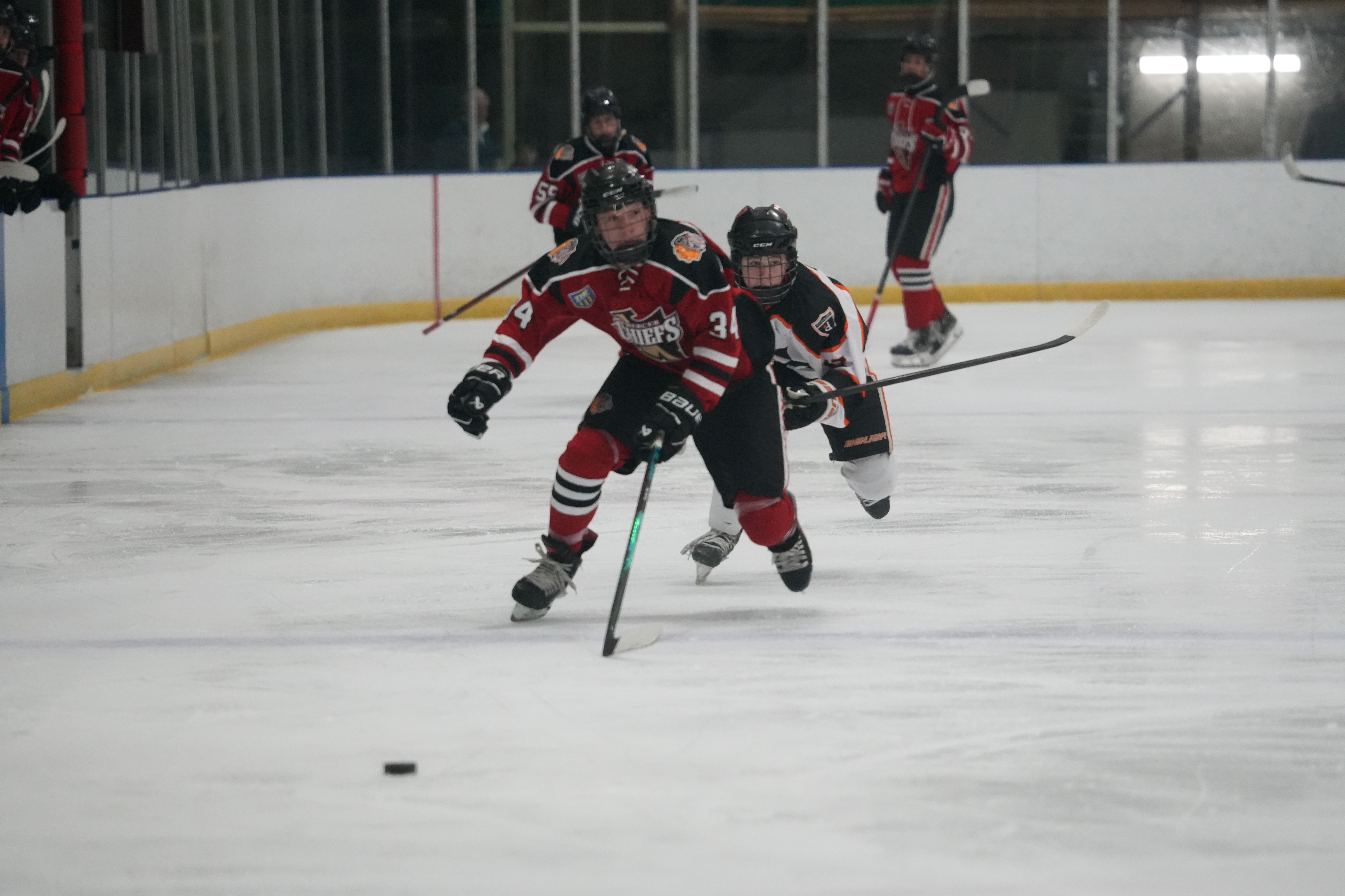 Nick Shapiro portrait